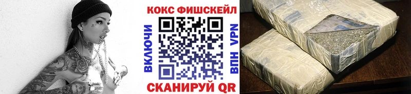Купить закладки  Новопавловск  Cocaine VHQ 