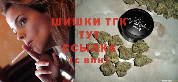 молекула духа Елизово