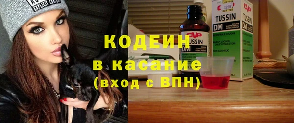 молекула духа Елизово