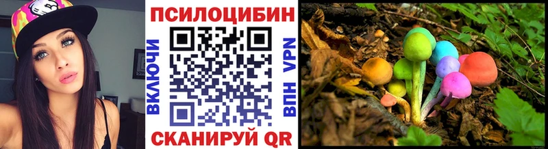Купить закладки  Новопавловск  Галлюциногенные грибы прущие грибы 