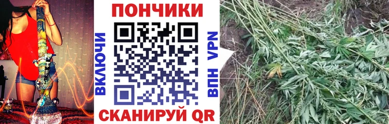Бошки Шишки AK-47  Купить  Новопавловск 